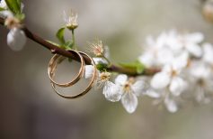 Factos curiosos: como os casamentos são celebrados em todo o mundo