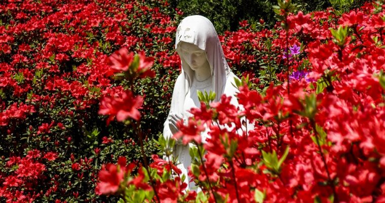 Nossa Senhora do Jardim das Rosas representada por vários artistas