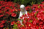 Beautiful flowers in full bloom and Virgin Mary statue