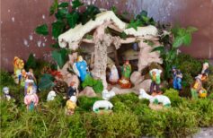 Como guardar o musgo para o presepio