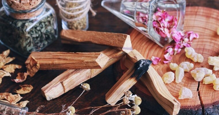 O palosanto: propriedades e benefícios da sua madeira preciosa