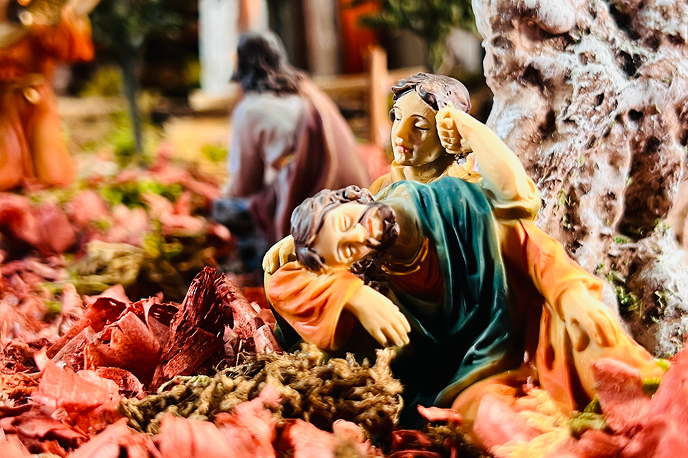 O Monte das Oliveiras, um dos lugares mais queridos a Jesus