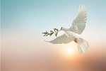 paz
