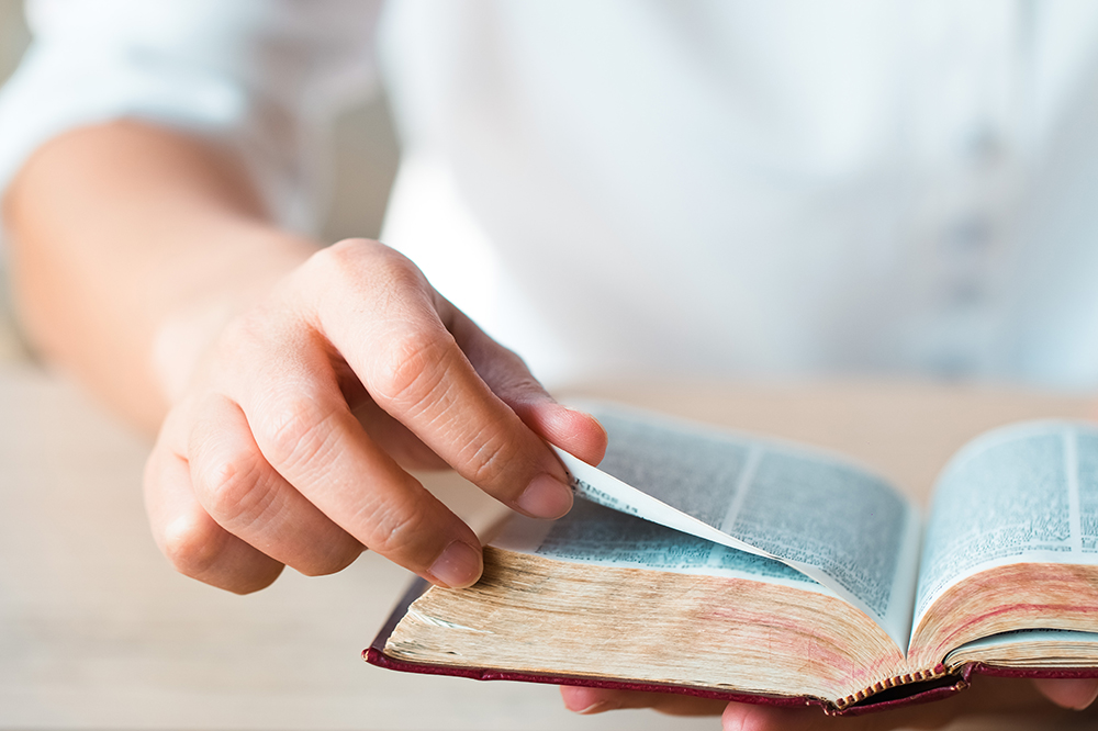 A história dos dogmas da Igreja Católica