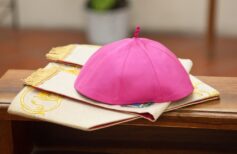 Concistório cardinalício: o que é e como funciona Concistório cardinalício