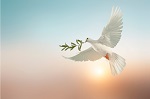 paz