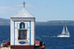 Ave-Estrela-do-Mar